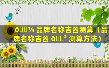 🌼 品牌名称吉凶测算（品牌名称吉凶 🌲 测算方法）
